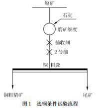 選銅實(shí)驗(yàn)流程圖