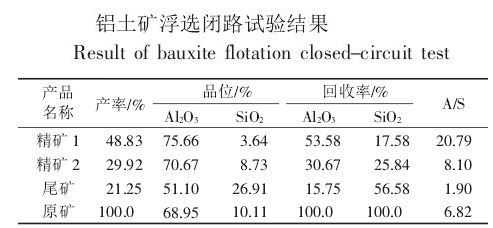 鋁礬土礦礦石性質(zhì)及工藝